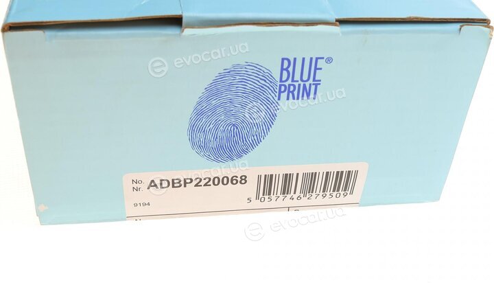 Blue Print ADBP220068