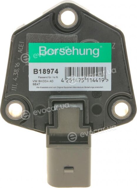 Borsehung B18974