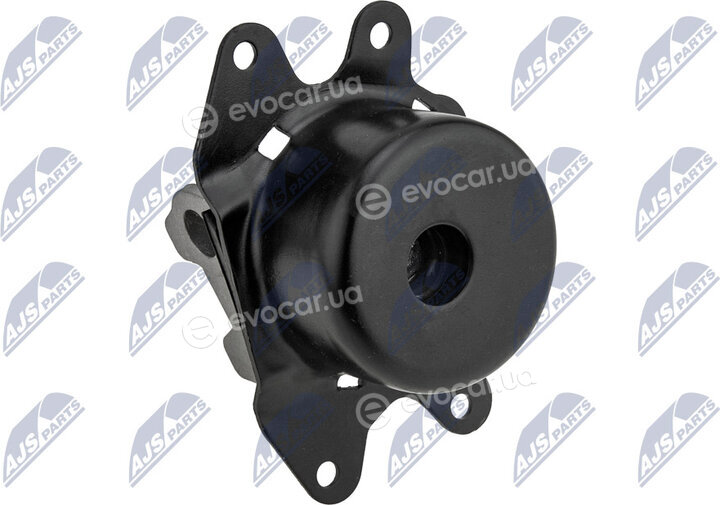 NTY ZPS-PL-018