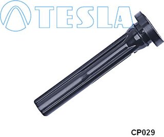 Tesla CP029