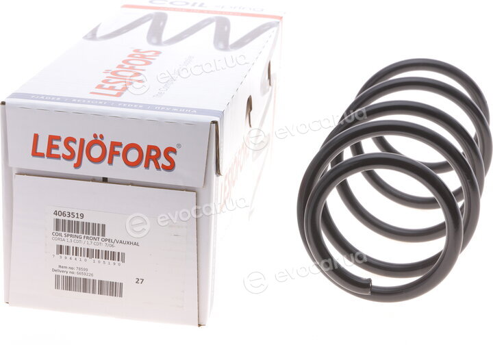 Lesjofors 4063519