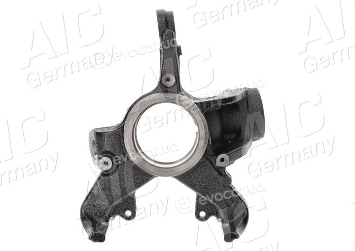 AIC 57196