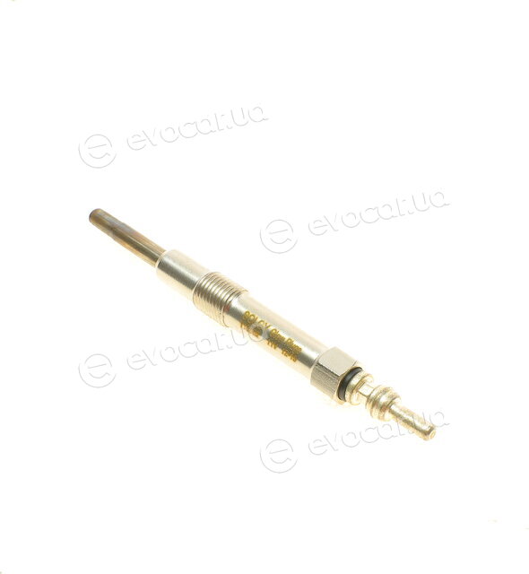 Solgy 116002