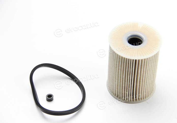 Mahle KX 231D
