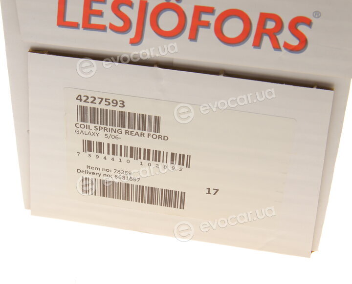 Lesjofors 4227593