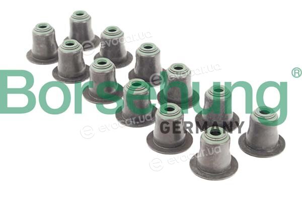 Borsehung B12508