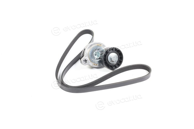 Dayco KPV279