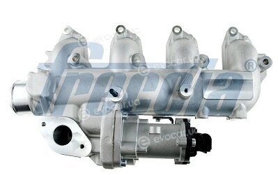 Freccia EGR12-210