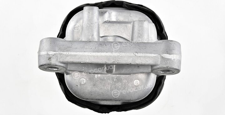 NTY ZPS-CH-019