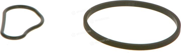 Bosch F 009 D00 783