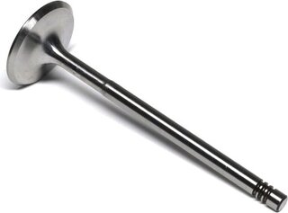 Gunes 6039