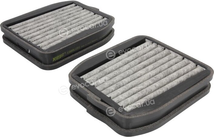 Hengst E989LC01-2