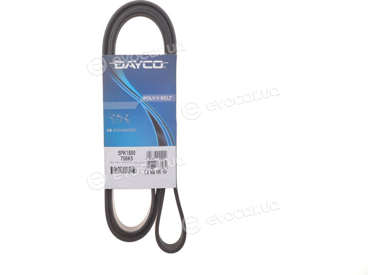 Dayco 5PK1800