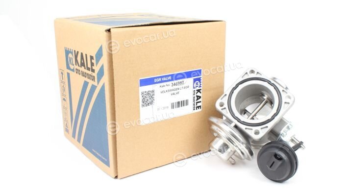 Kale 348980