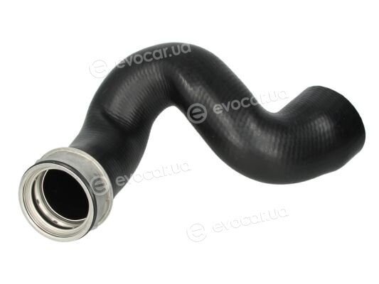 Thermotec DCW094TT