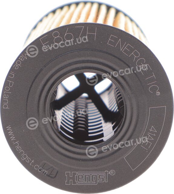 Hengst E867H D370