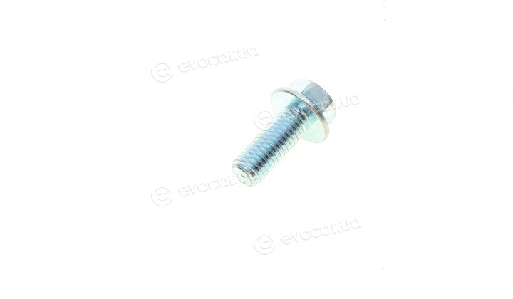 Solgy 203119