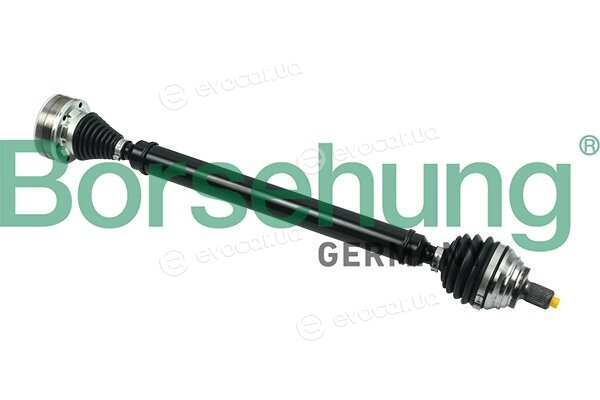 Borsehung B18423