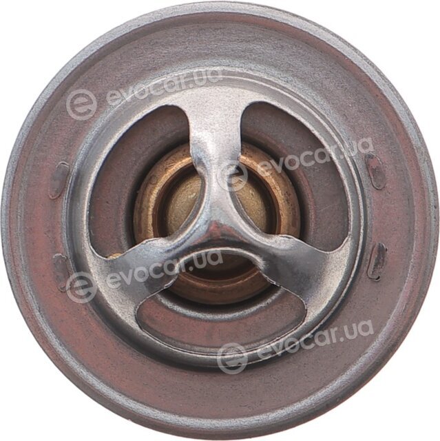 Motorad 2065-82K