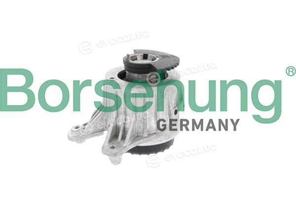 Borsehung B12987