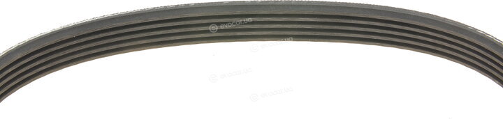 Gates 5PK493