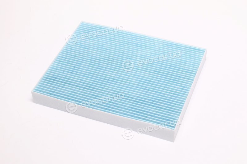 Blue Print ADG02594