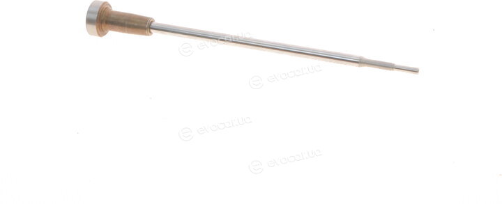 Bosch F 00V C01 331