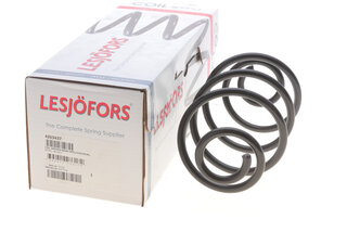 Lesjofors 4263437