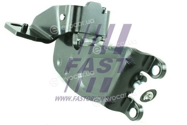 Fast FT95591