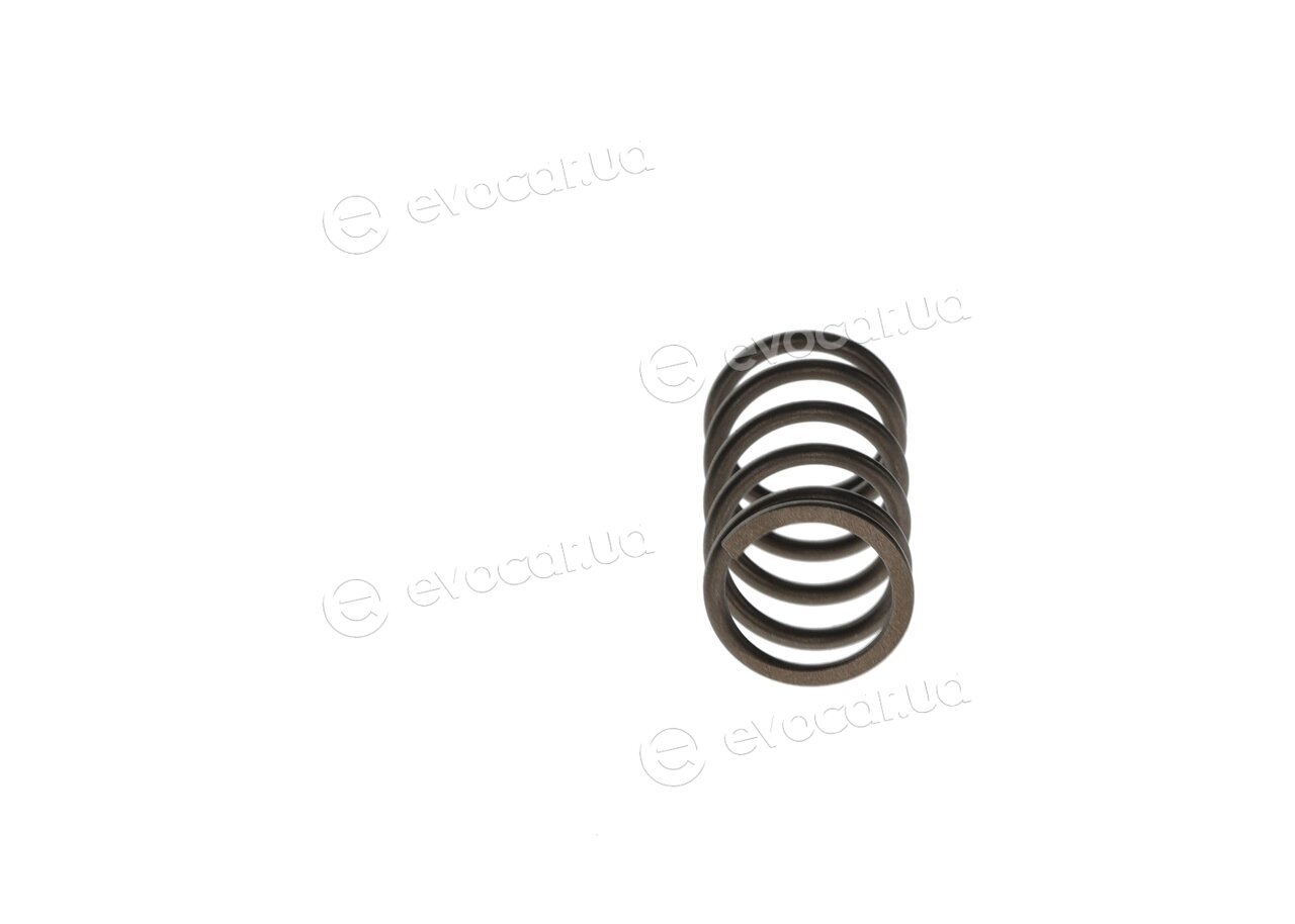 Bosch F 00R 0P1 447