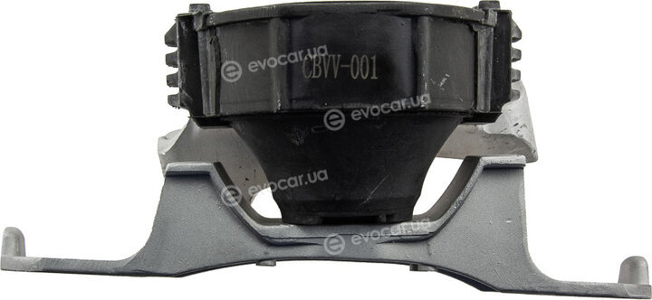 NTY ZPS-VV-001