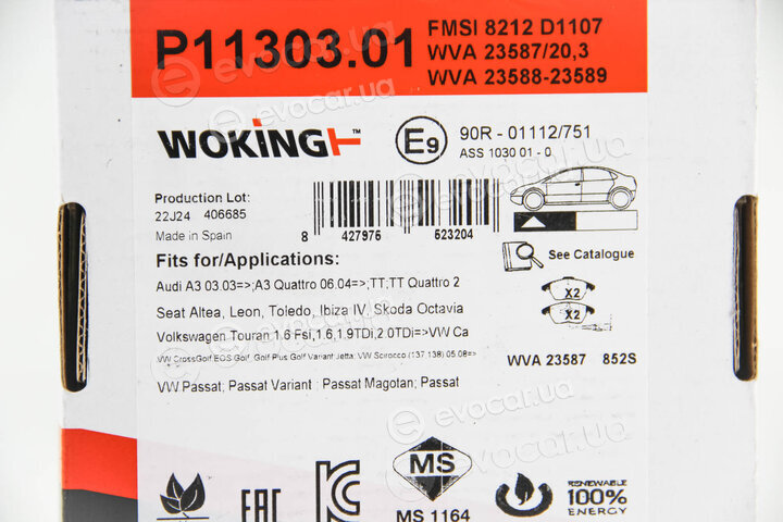 Woking P11303.01