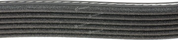 Dayco 6PK1555S