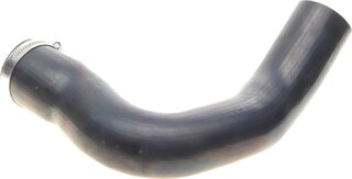 Solgy 114248