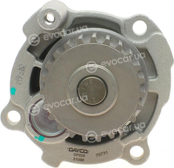 Dayco KTBWP2530