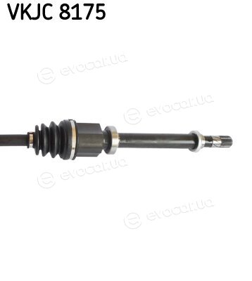 SKF VKJC 8175