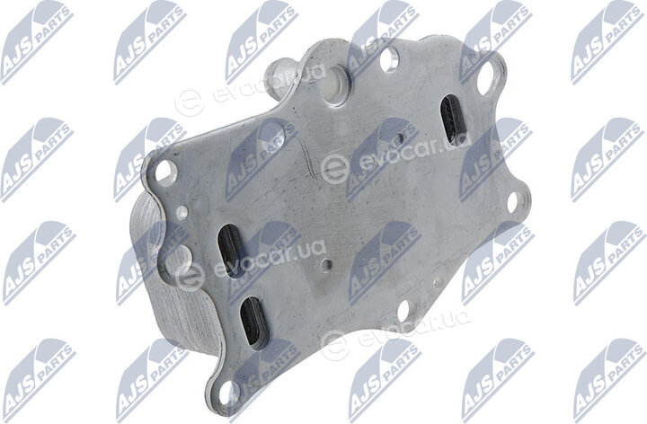 NTY CCL-PL-010