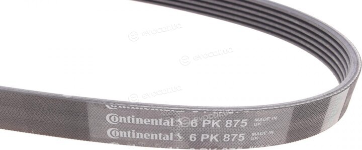 Continental 6PK875