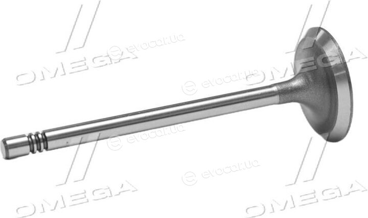 Gunes 6036