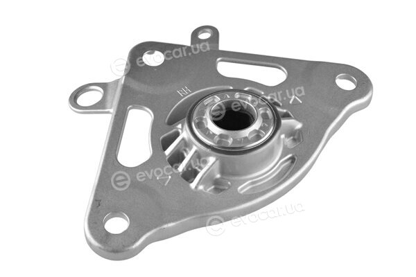Tedgum TED49795