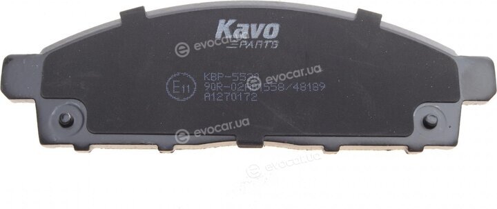 Kavo KBP-5520