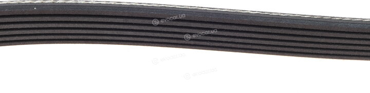 Dayco 6PK2404