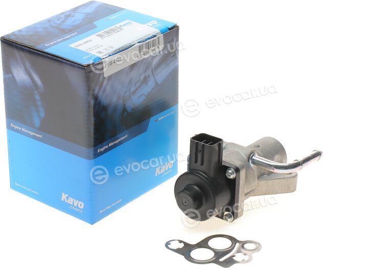Kavo EEG-4502