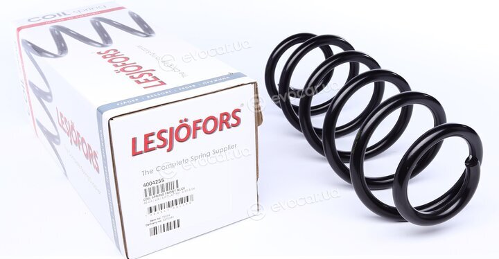 Lesjofors 4004255