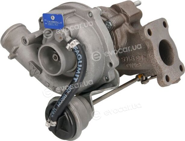 BorgWarner 53039880061/R