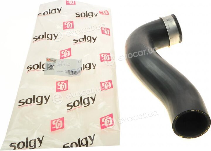 Solgy 114231