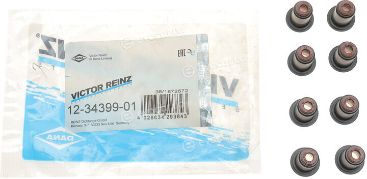 Victor Reinz 12-34399-01