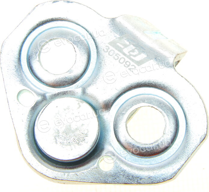 Solgy 305092