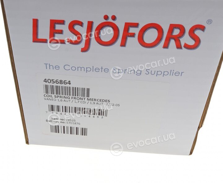 Lesjofors 4056864