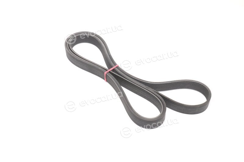 Continental 8PK2465